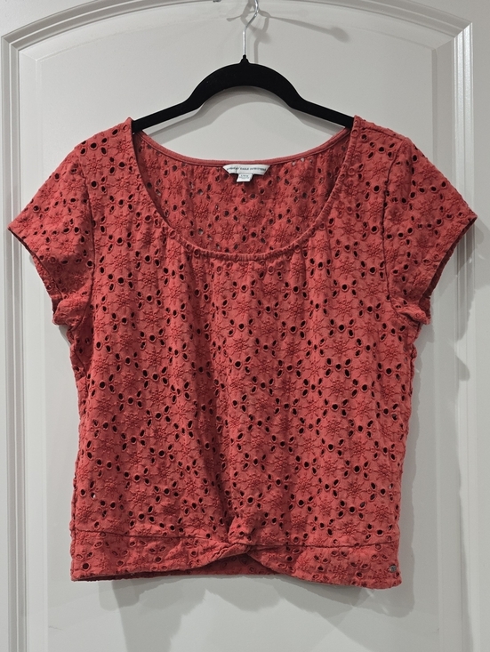 American Eagle Outfitters Tops - AMERICAN EAGLE OUTFITTERS Rust Eyelet Scoop Neck Short Sleeve Cropped Tee, Large
